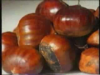 Aydın tatil rehberi - tatilstil.com