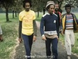 Bob Marley kommt ins Kino