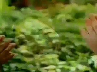 Rosa Diamante Avance Cap.02