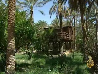 واقع السياحة في مدينة توزر التونسية ما بعد الثورة