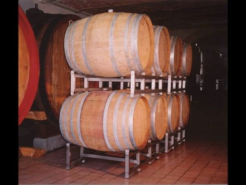 SCM PRODOTTI ENOLOGICI MATERIALI ENOLOGICI ATTREZZI ENOTECNICI SUPPORTI PER BOTTI SISTEMI DI IMPILAGGIO BOTTI PORTA TONNEAUX SELLE PER TONNEAUX RUOTA BARRIQUES TOSCANA PIEMONTE VENETO FRANCIACORTA SVIZZERA CANTON TICINO COSTRUZIONE PROPRIA CANTINE CANTINE
