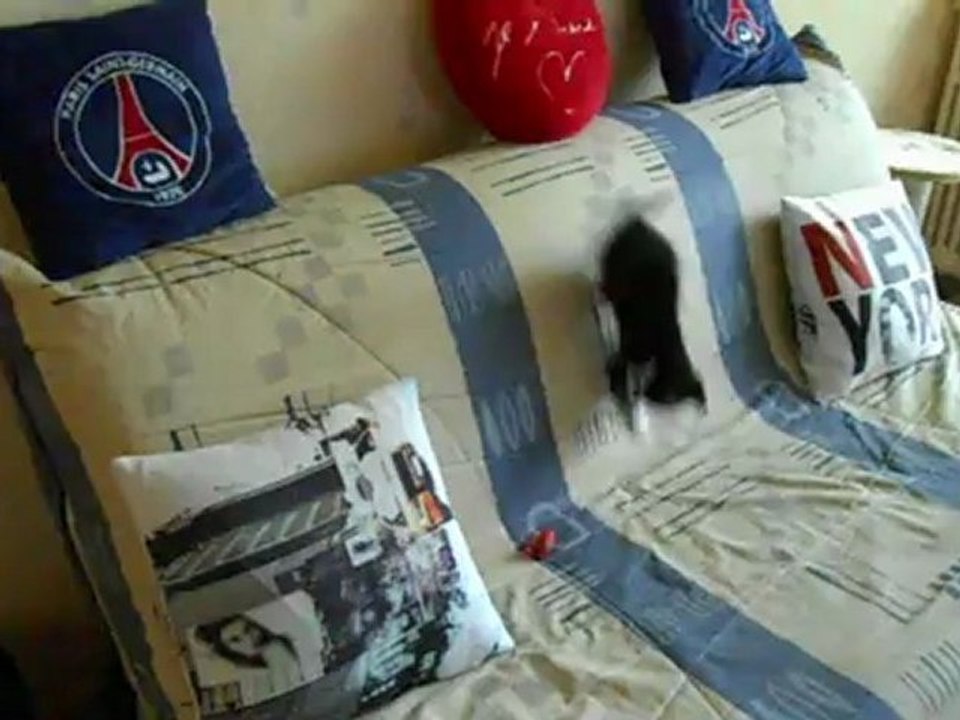 Snoopy en folie