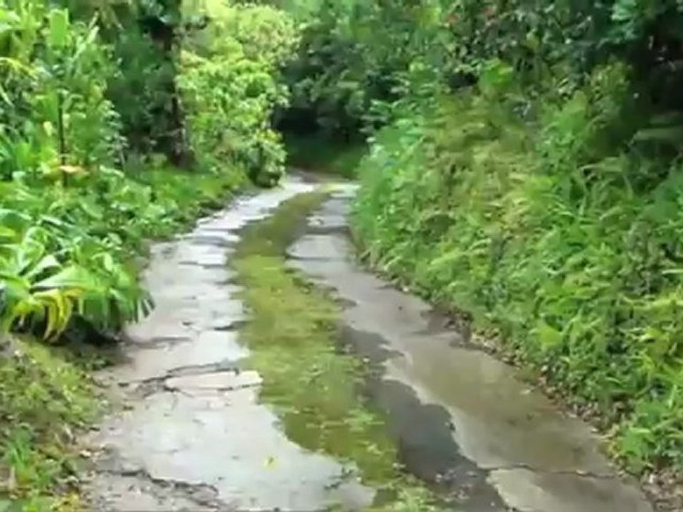 3959 Round Top Drive, Honolulu, HI