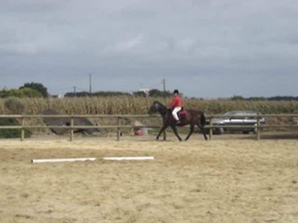 Iola & Manounette, Ecuries du bout du monde