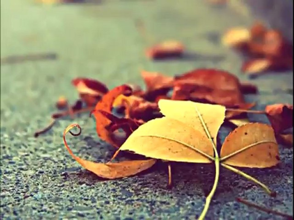 Öyle Bir Geçer Zaman Ki - Sonbahar - oylebirgecerzamankifan.com