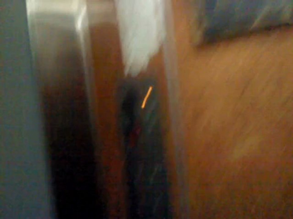 MOV00477