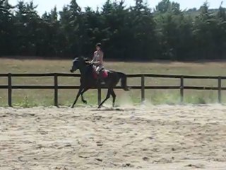 SOYA 110712 MVI_8370