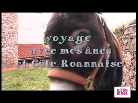 voyage en cote roannaise avec mes ânes
