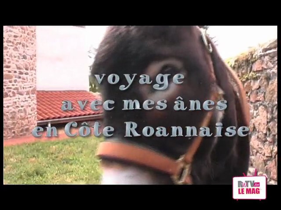voyage en cote roannaise avec mes ânes