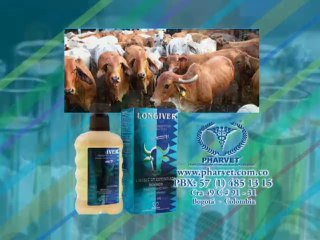 HACIENDA CHICAMOCHA Julio 11 de 2012