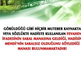 MEHMET ALİ KAYA'YA CEVAP - 18 (MEHDİ (A.S.)'IN SAKALI ...