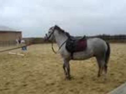 Oufkir du Gouridou, Ecuries du bout du monde