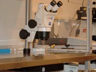 IVF Lab in Los Angeles - The Center for Fertility and Gynecology