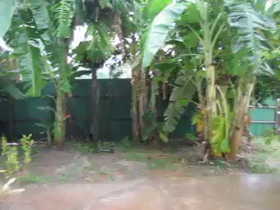 Que d'eau !