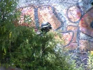 Airsoft 17.06.12  3eme partie.