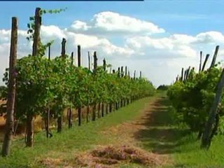 siccita raccolti a rischio