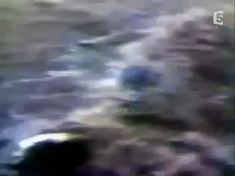 Une machine à  tremblement de Terre