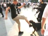 Homophobe frappe un chien policier