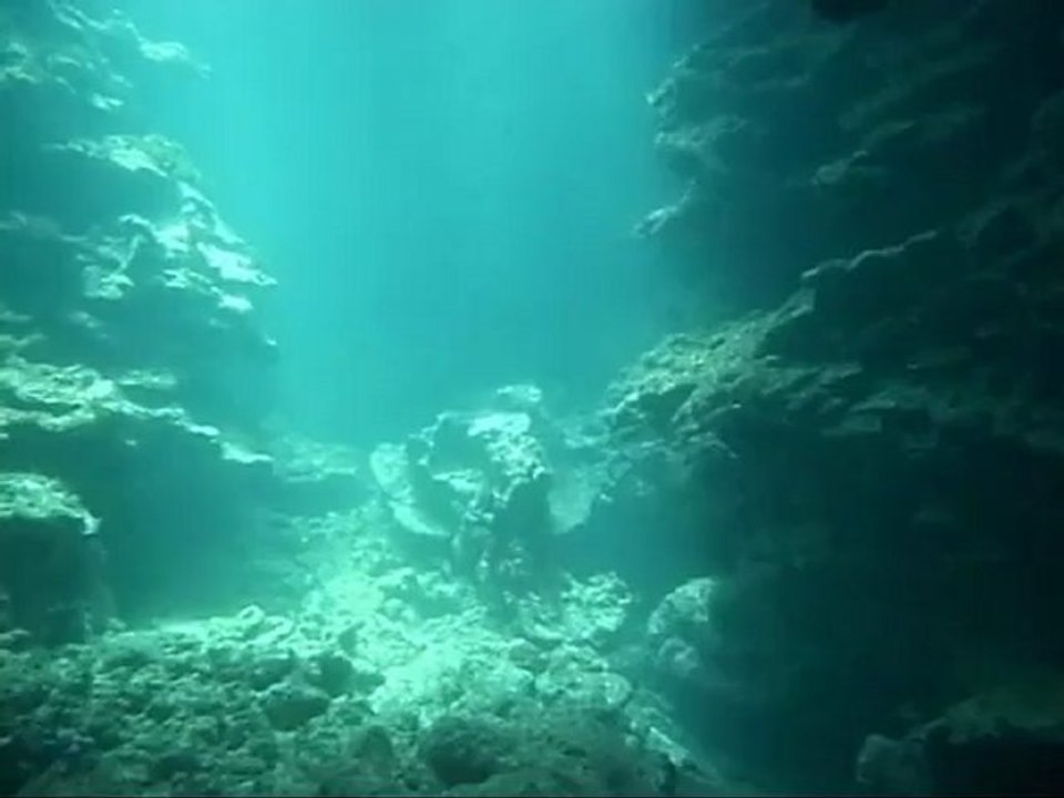 Les grandes arches plongée en Martinique