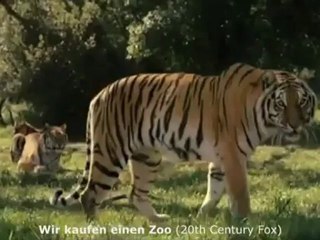 Kinotipps der Woche vom 1. März 2012