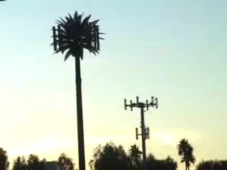 Shielding Harmful Cellular Phone Radiation