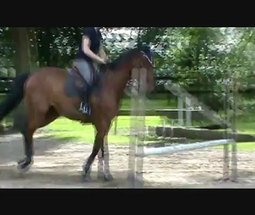 stage juin samedi3gpe