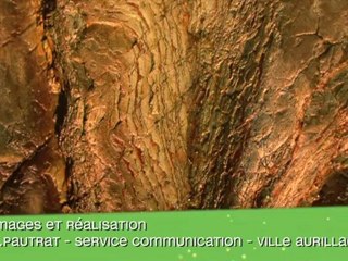 Expo "l'oracle des pierres" (Laurent Dubois)