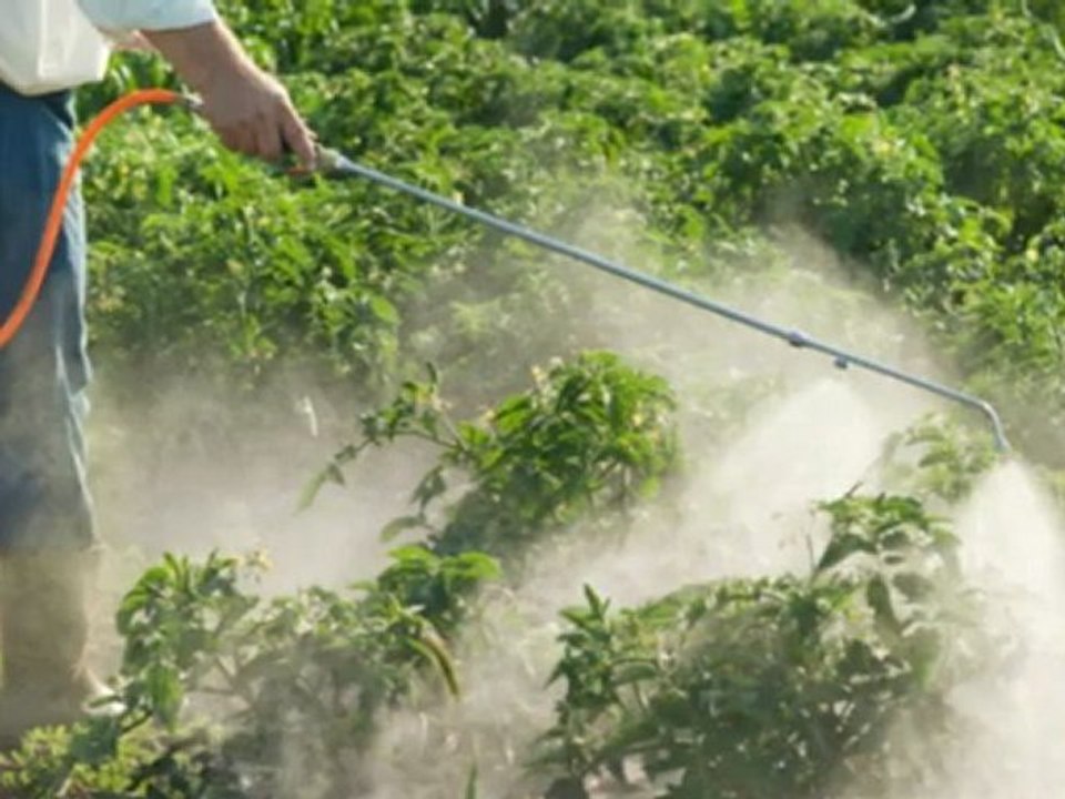 A Plus Pest Control - (435) 850-2704