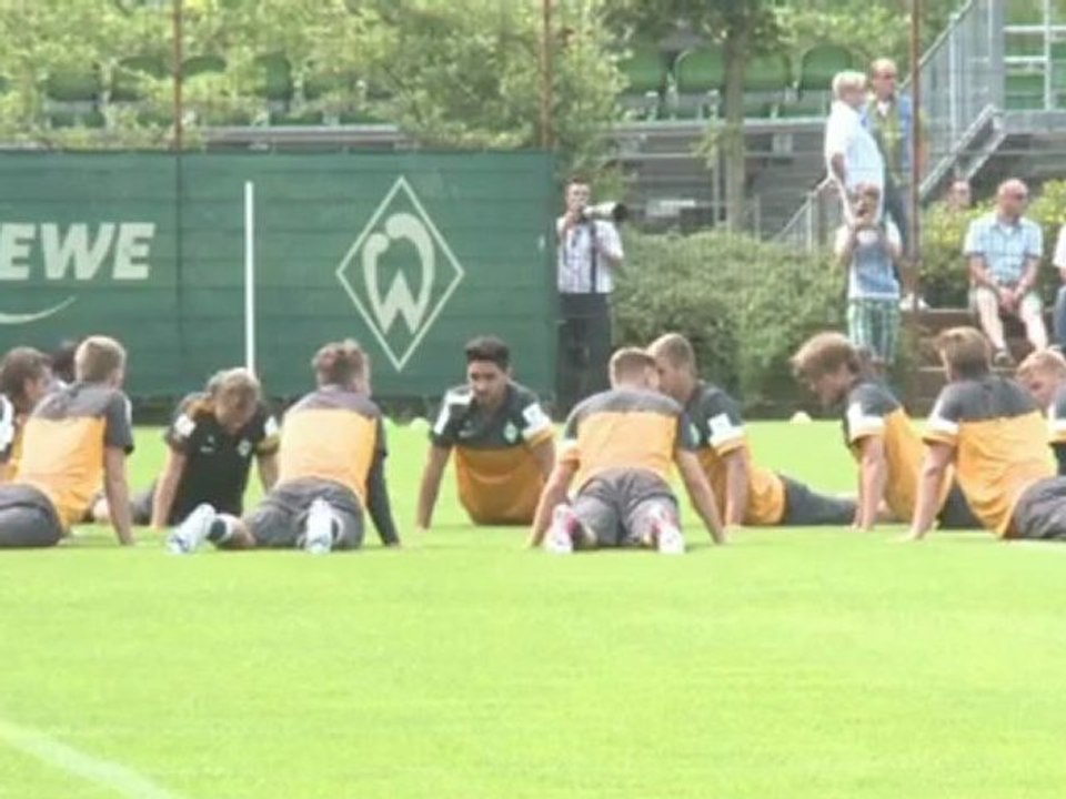 Transferticker - werder will pazzini