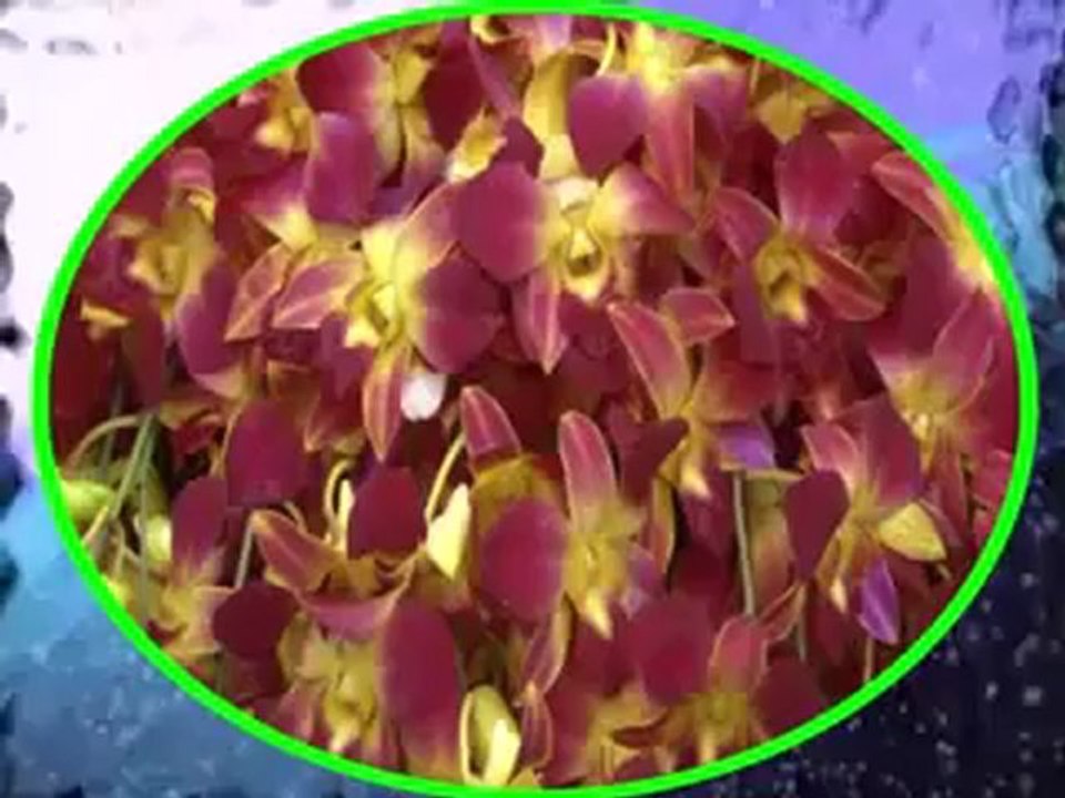 ABDÜLKADİR BADILLI'YA CEVAP - 1