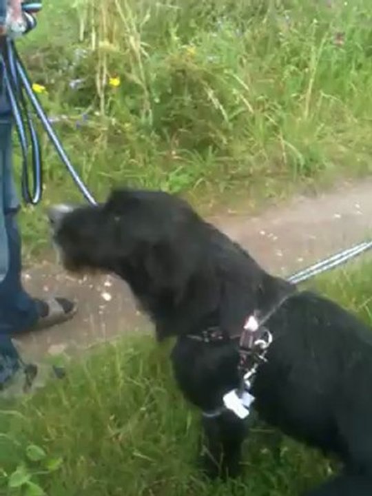 Ralph en plein rappel !