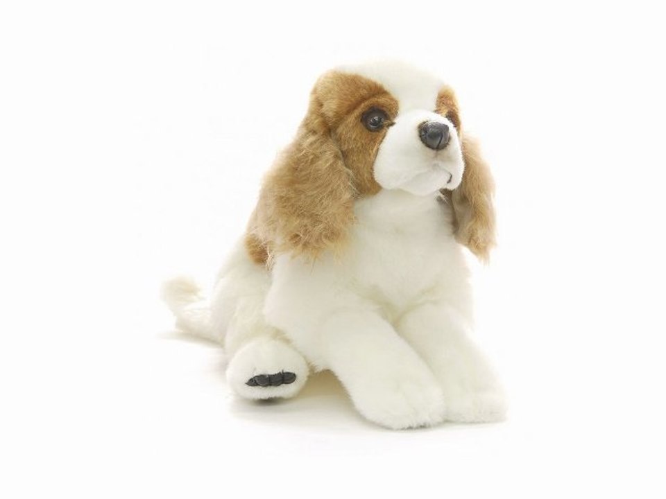 Peluche cavalier king charles 42 cm