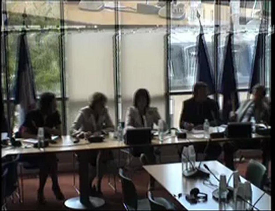Comm Aff Europ 11 juillet 2012 Audition Mme HEDEGAARD