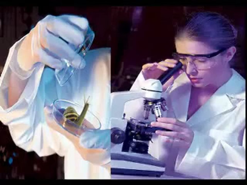 Ellezza Krem Resmi Satış Sitesi