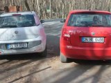 Karşılaştırma - Fiat Punto Evo ve Skoda Fabia İle Otomobil Dünyam