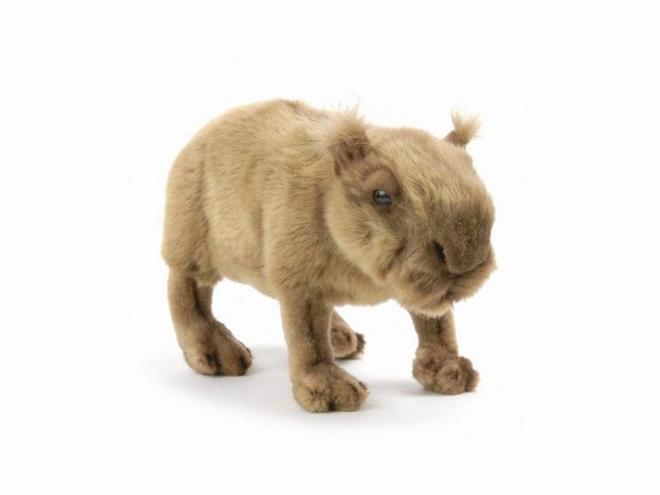 Peluche capybara cabiai 31 cm