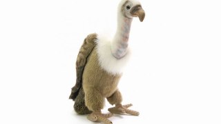 Peluche vautour 34 cm