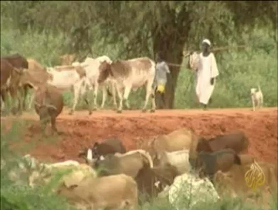 تأثير انفصال جنوب السودان على النشاط الرعوي