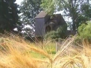 Promenons-nous dans les bois: la cabane perchée aux Barils (5/5)