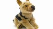 Peluche berger allemand 60 cm