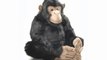 Peluche chimpanzé 60 cm