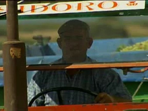 Spot Falange española de las Jons