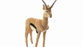 Peluche gazelle 60 cm