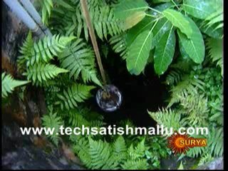 Pattukalude Pattu July 12