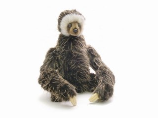 Peluche paresseux 50 cm