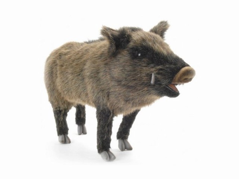 Peluche sanglier 44 cm