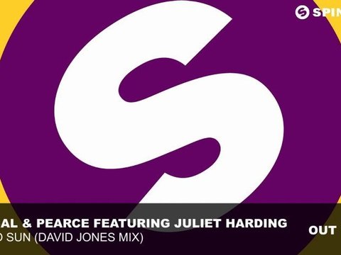 Pascal & Pearce feat. Juliet Harding - Disco Sun (David
