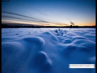 Denizhan Alkan Giden Gelmez &  7 Karanfil Gözler