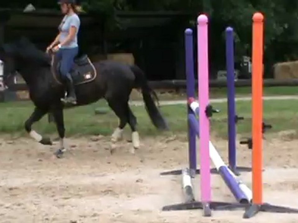 Travail sur le plat 10 07 12.4