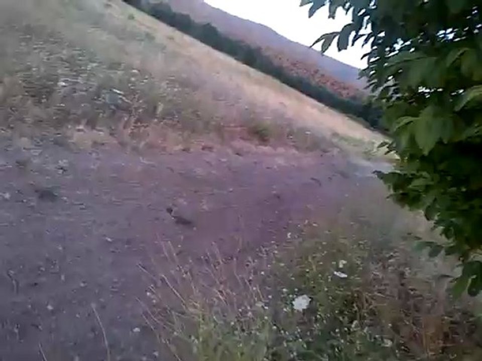 VID-20120710-00002